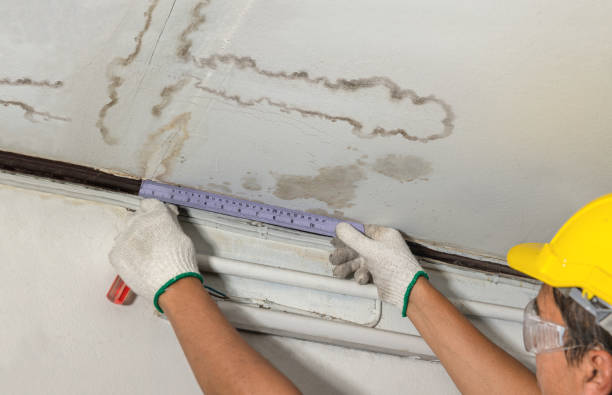 Reliable Basement Water Removal contractor in Alabaster, AL by Water Damage Irwin